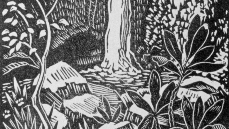 Detail of print by Huc Mazelet Luquiens depicting foliage and waterfall.