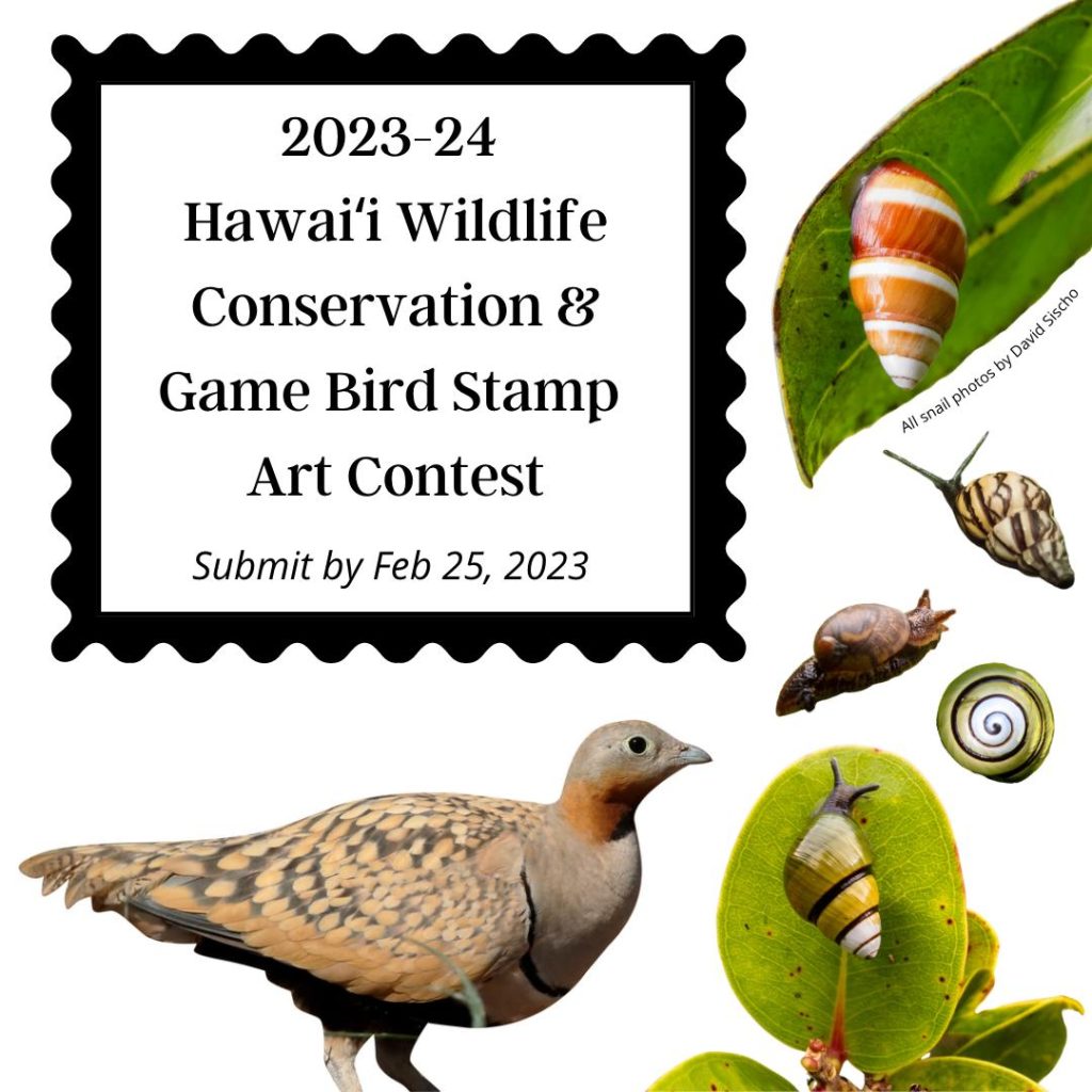 promotional graphic for the 2023-24 hawaii wildlife conservation and game bird stamp art contest with photos of birds and snails.