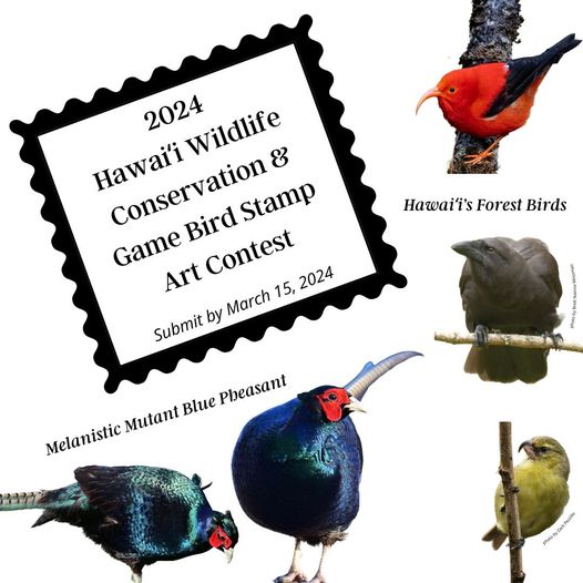 promo graphic for DLNR 2024 hawaii wildlife conservation game stamp art contest