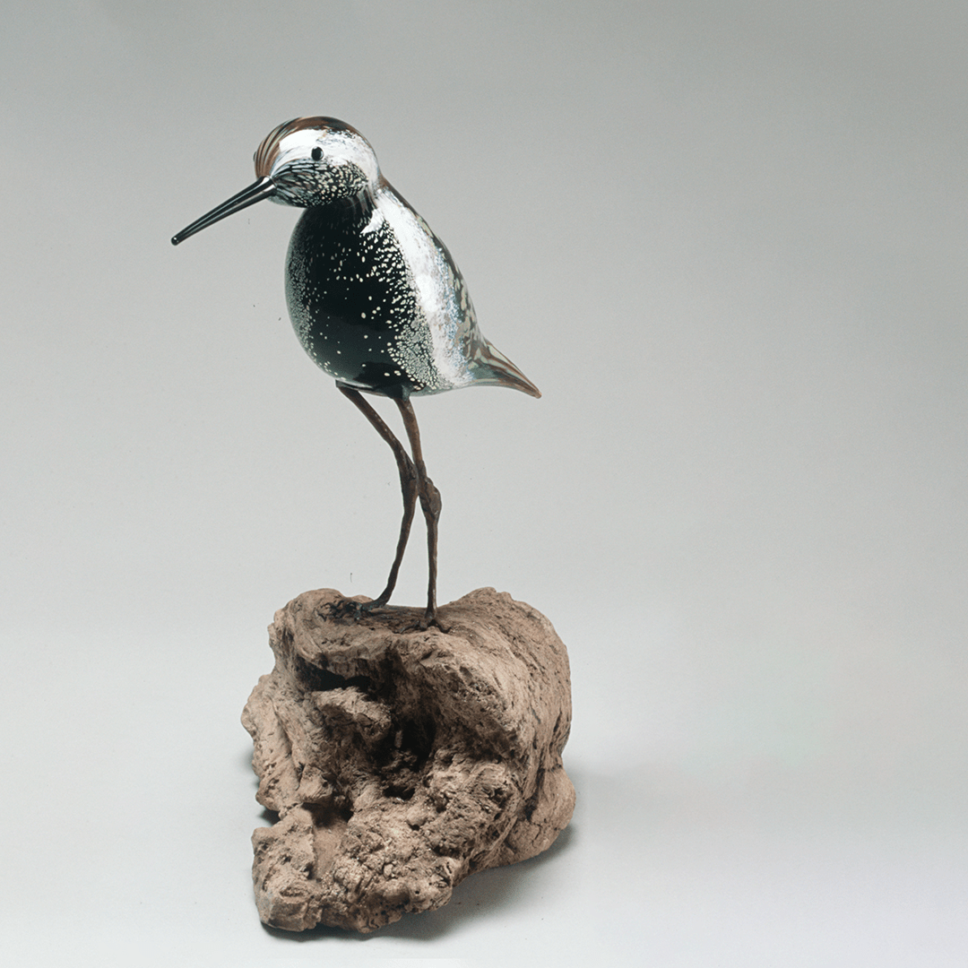 SFCA Board of Commissioners APP Committee Meeting (November 2024