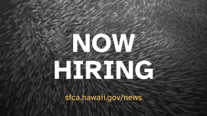 text: now hiring sfca dot hawaii dot gov backslash news over black and white photo of school of fish