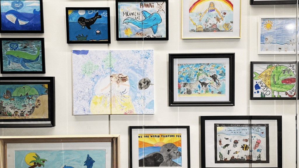 Closeup view of display of student artworks depicting ocean life.